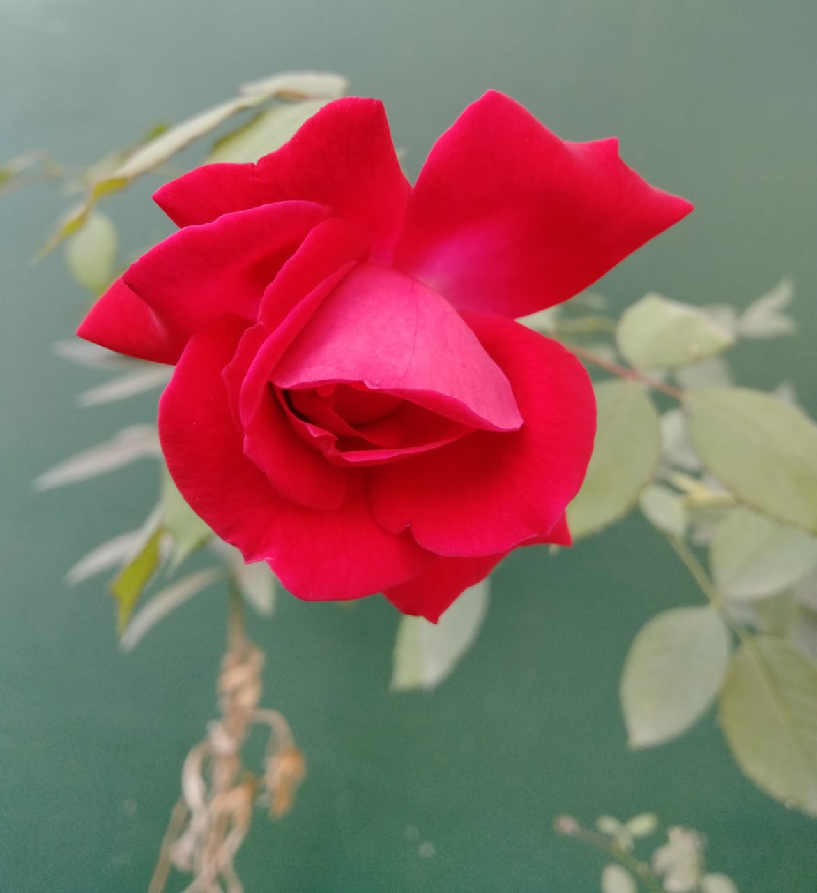 Everyone has a different life story